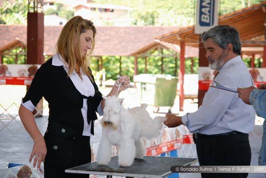 Clique sobre a foto para fechar